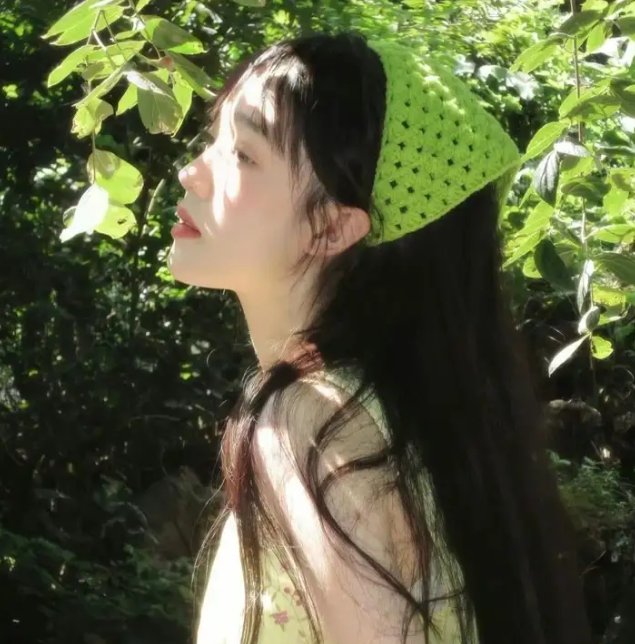 家有虎妻